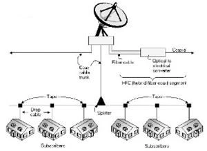 CATV Network